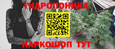 СК Краснознаменск