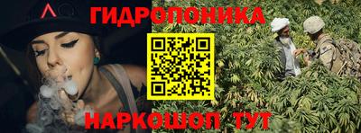 СК Краснознаменск