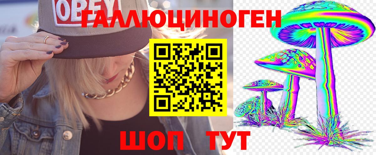 Галлюциногенные грибы Psilocybine cubensis Тихорецк
