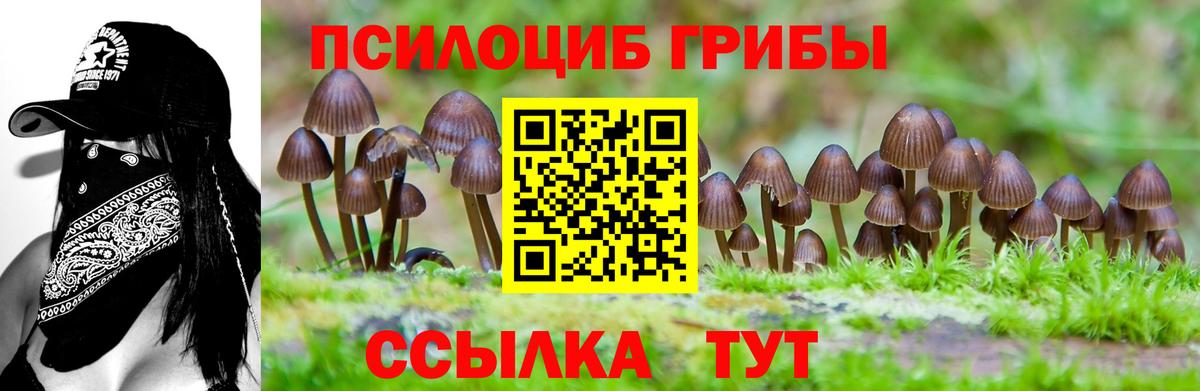 Галлюциногенные грибы Magic Shrooms  Вход с VPN  купить наркоту  Тихорецк 